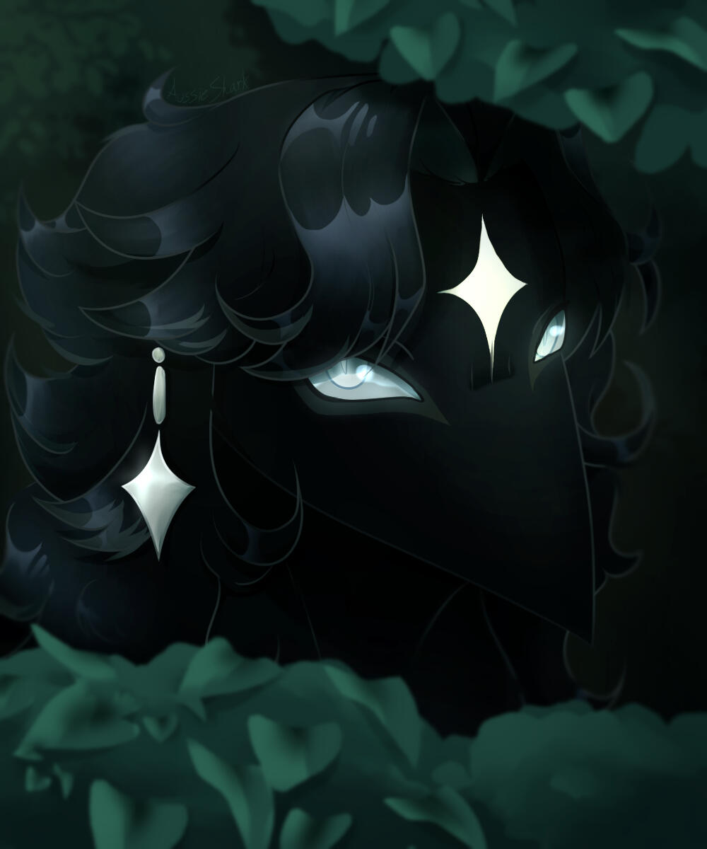 Commission for Wanderwings