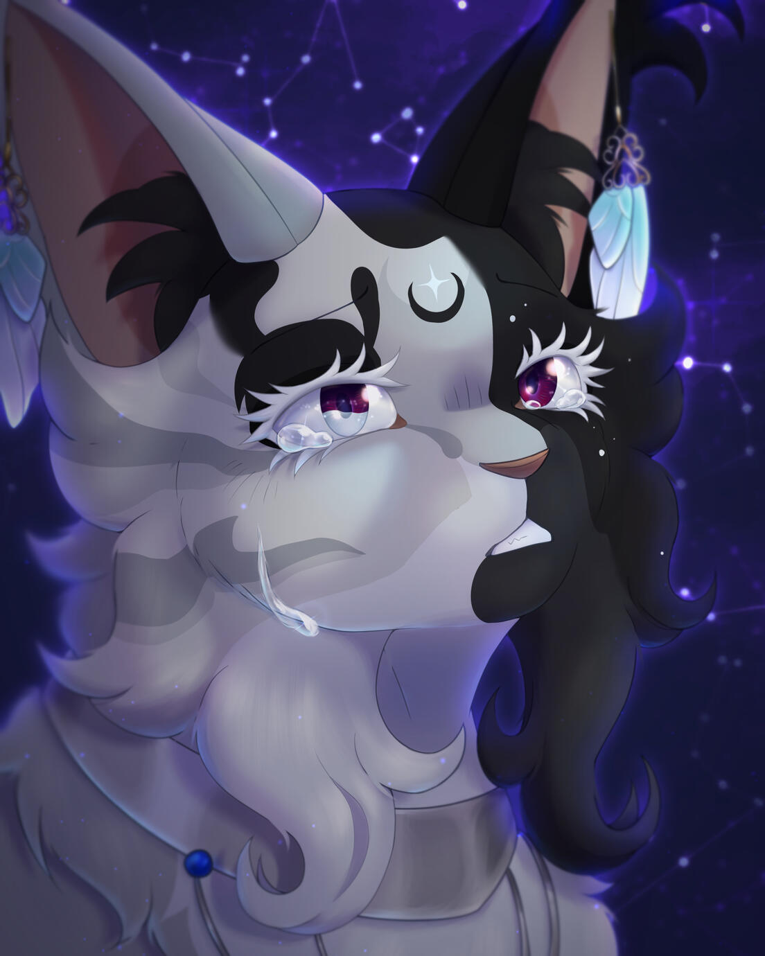 Commission for sphynxed